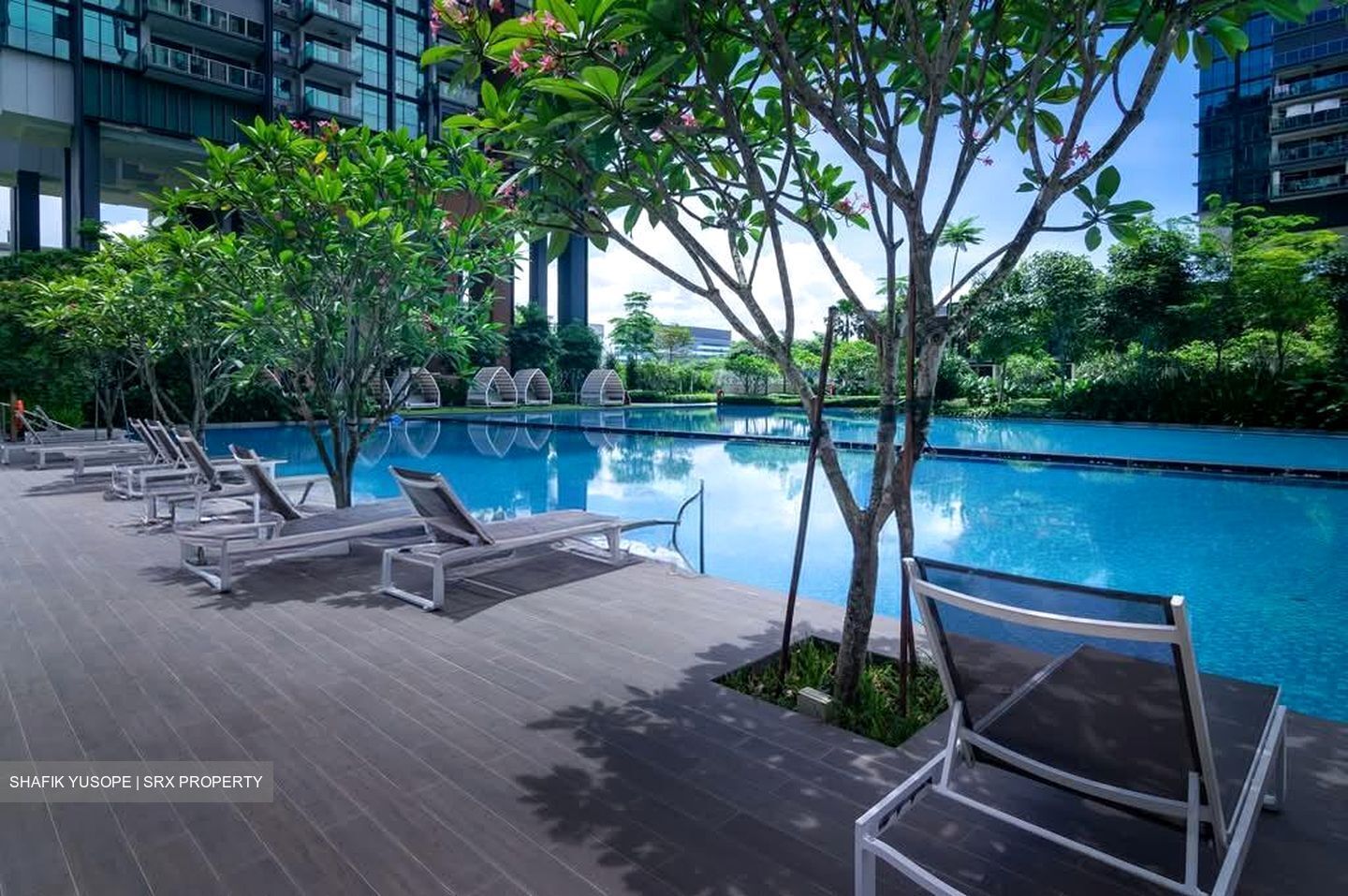 Normanton Park (D5), Apartment #561306401